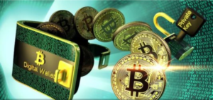 España biblioteca monedas digitales