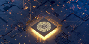 Estos son los fundamentos básicos para iniciarse en el trading de las criptomonedas