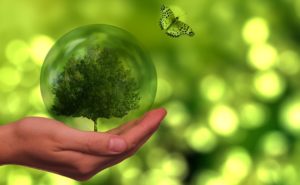 Greenpeace dejó de aceptar donaciones en bitcoins ¿Qué consume más energía: el BTC, la banca o el oro?