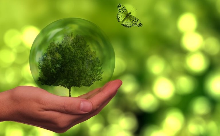 Greenpeace dejó de aceptar donaciones en bitcoins ¿Qué consume más energía: el BTC, la banca o el oro?