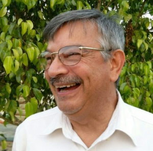 El bitcoin y el dólar, sobre los refugios de valor