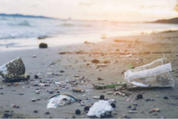 Uruguay presenta Plasticoin, la criptomoneda para cuidar las playas