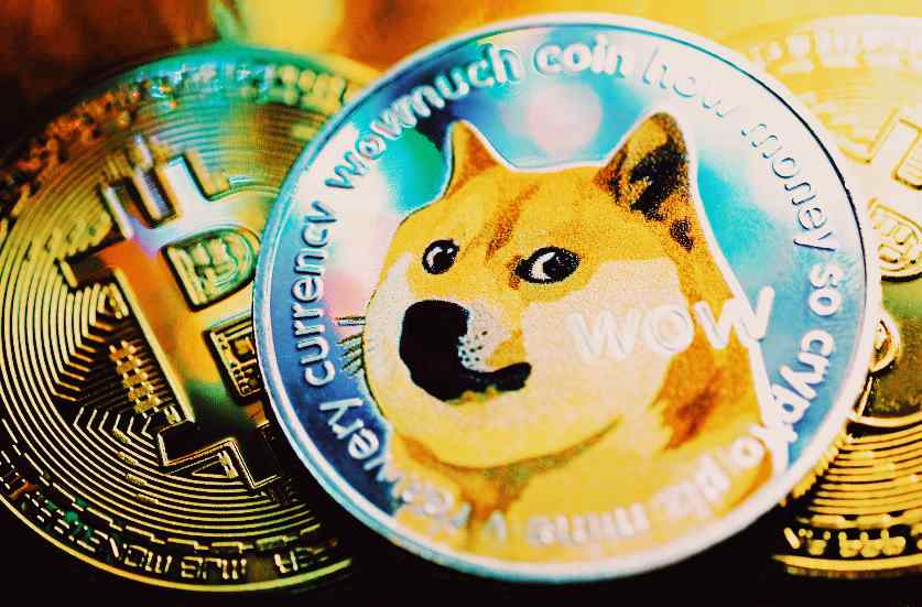 dogecoin, bitcoin