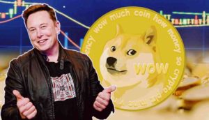 dogecoin, elon musk