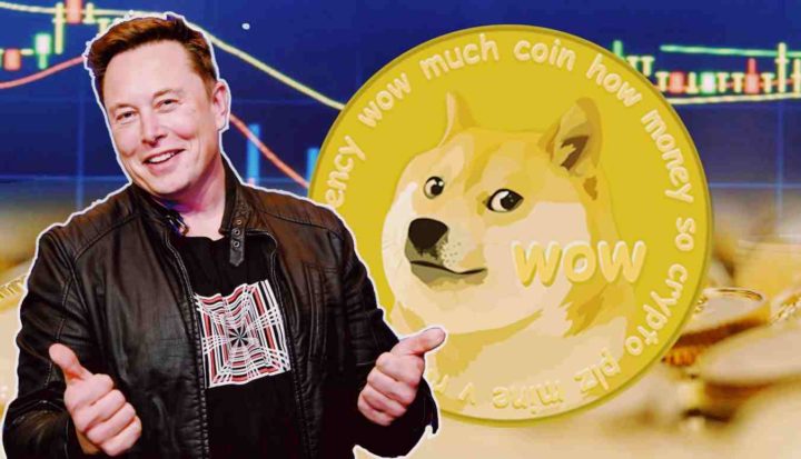 dogecoin, elon musk