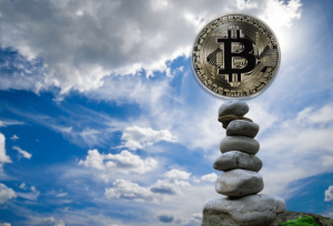 FMI bitcoin moneda nacional