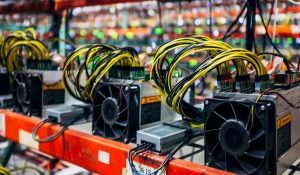 Zodi Carabobo ordenó a los cuerpos de seguridad respetar el Decreto Constituyente sobre Criptoactivos de Venezuela