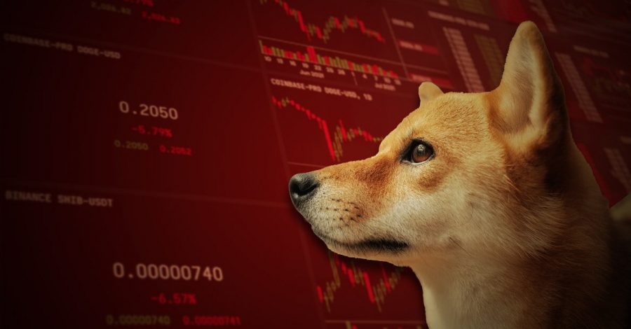 Binance celebra el Día Internacional del Perro repartiendo 50 mil dólares en dogecoins y shibas