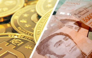 Bolívar Digital vs el petro