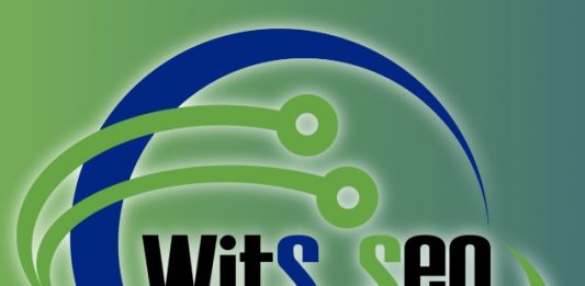 Wits Seo, el servicio de diseño web que acepta criptomonedas como forma de pago