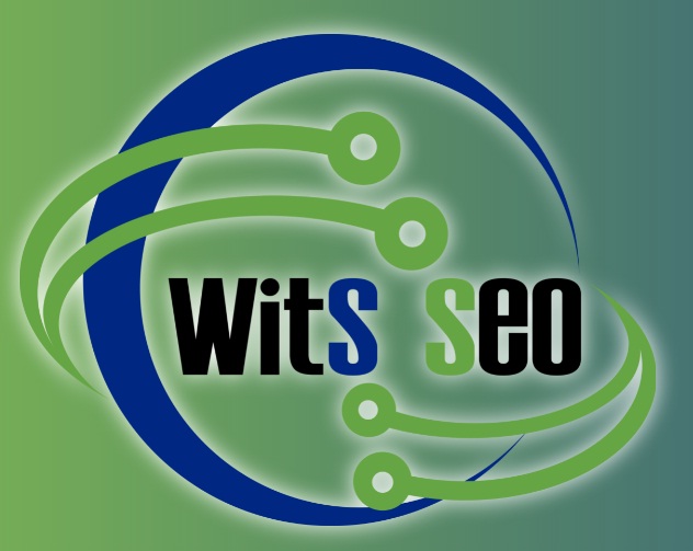 Wits Seo, el servicio de diseño web que acepta criptomonedas como forma de pago