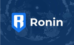 Axie Infinity releases its new Ronin DEX, Katana | English