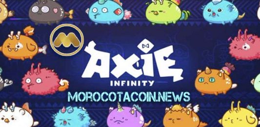Axie Infinity: announces changes to gain SLP | English