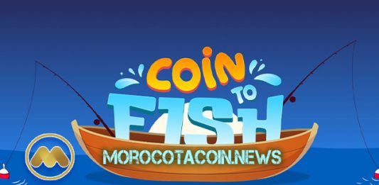 Coin to Fish: un criptojuego basado en la vida marina