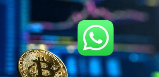 WhatsApp libera envio de criptomoedas via Novi | Português