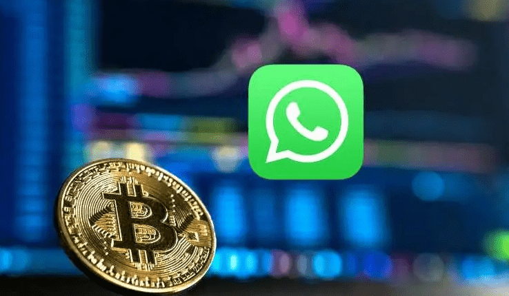 WhatsApp libera envio de criptomoedas via Novi | Português