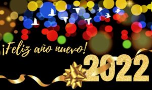 Pagan 6 bonos del Carnet de la Patria este 1º de enero 2022