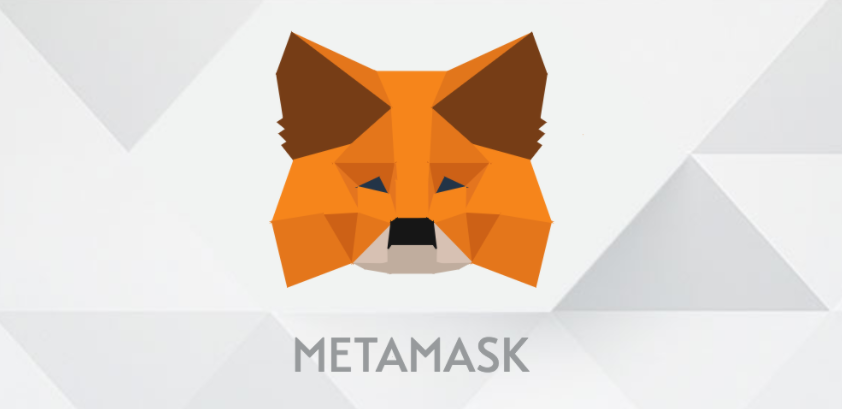 ¿Cómo instalar Metamask y agregar redes personalizadas?