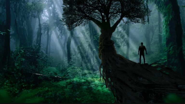 Nemus: una experiencia NFT para conservar la selva amazónica