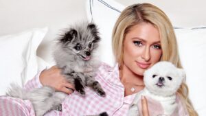 Paris Hilton invierte $4 millones en su propio marketplace NFT