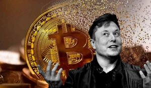 Elon Musk se lava las manos: “nunca dije que invertieran en criptomonedas”