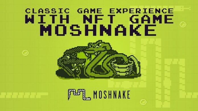 Moshnake: un nuevo ecosistema se eleva a las alturas al igual que Solana y Tamadoge