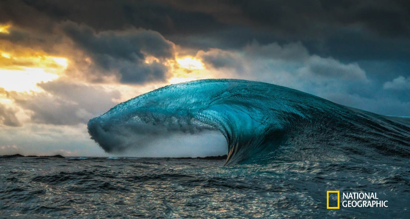 National Geographic emitirá NFT's con sus fotografías, videos y documentales