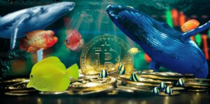 Las ballenas aprovechan la caída del mercado para vender ethereum (ETH) y wrapped bitcoin (WBTC)
