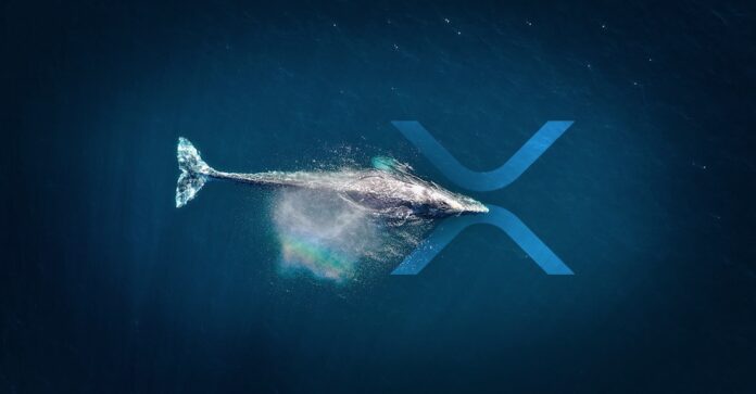 Ballenas acumularon XRP (Ripple) durante la reciente caída en los precios de las criptomonedas