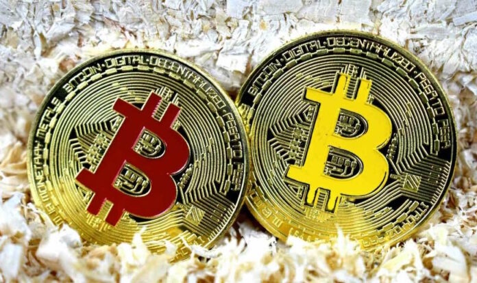 ¿Por qué cayó el precio del bitcoin (BTC)? Este reconocido analista explicó el motivo