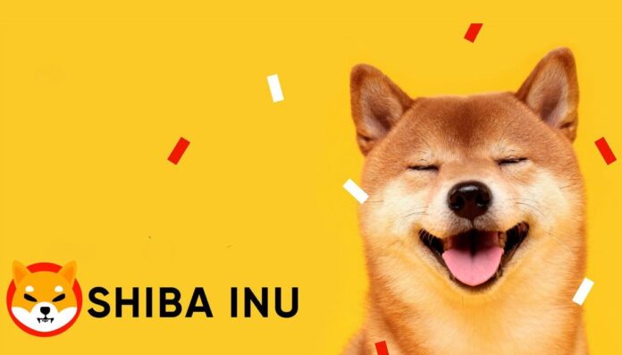 ¿Comprar Shiba Inu (SHIB) dará grandes ganancias en el mediano plazo? Esta analista dice que sí