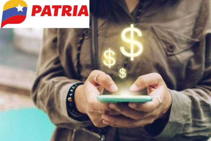 Estos son los Bonos de la Patria que pagarán en la última semana de septiembre de 2023 | ¿Cuáles y cuánto?