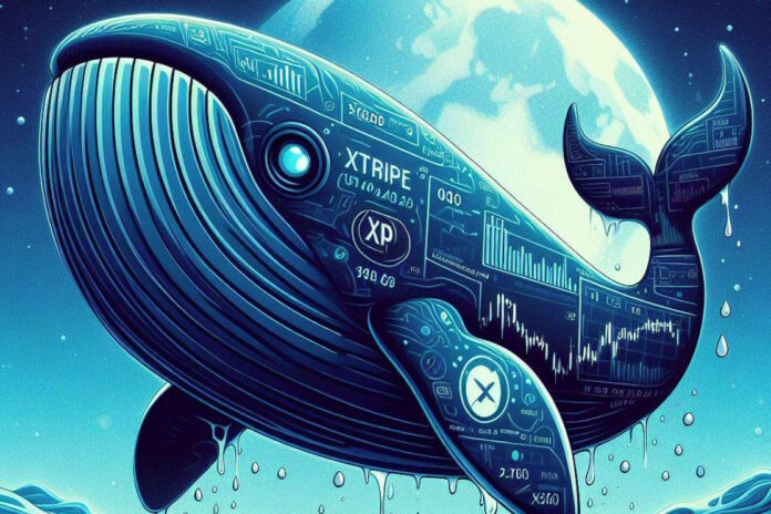 Ballenas mueven grandes cantidades de XRP (Ripple) a los exchanges ¿Por qué?