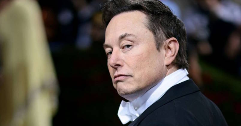 Elon Musk declara guerra a las estafas cripto en redes sociales