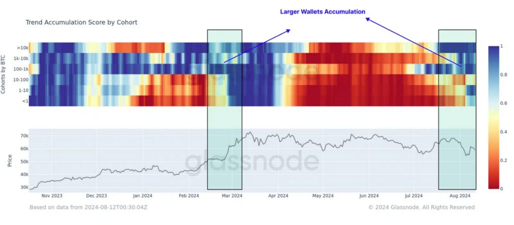 Bitcoin: Puntuación de acumulación de tendencia de BTC por cohorte | Glassnode