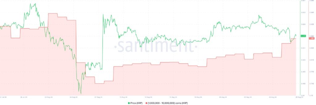 Acumulación de ballenas XRP