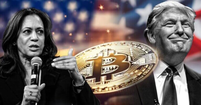 Caída del bitcoin tras el enfrentamiento Harris-Trump: ¿Qué significa para el futuro de las criptomonedas?