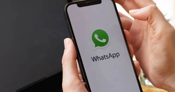 WhatsApp lanza funciones revolucionarias para organizar y buscar stickers al instante