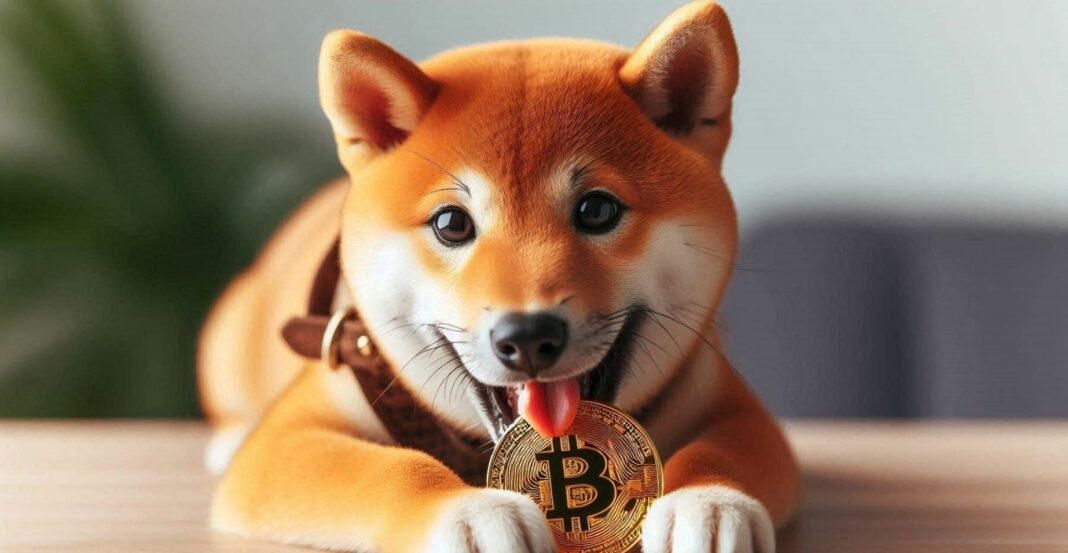 Análisis de shiba inu (SHIB): subida del 109% en medio de una liquidación cripto masiva