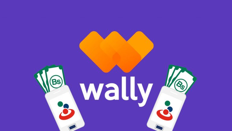 Cómo hacer transferencias de divisas desde Wally a Banesco