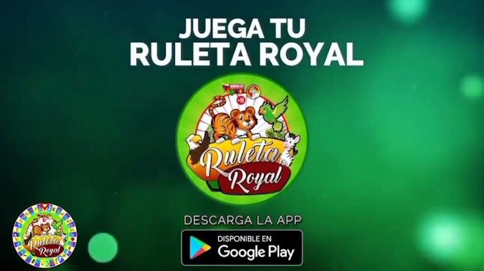 app de apuestas royal en play store