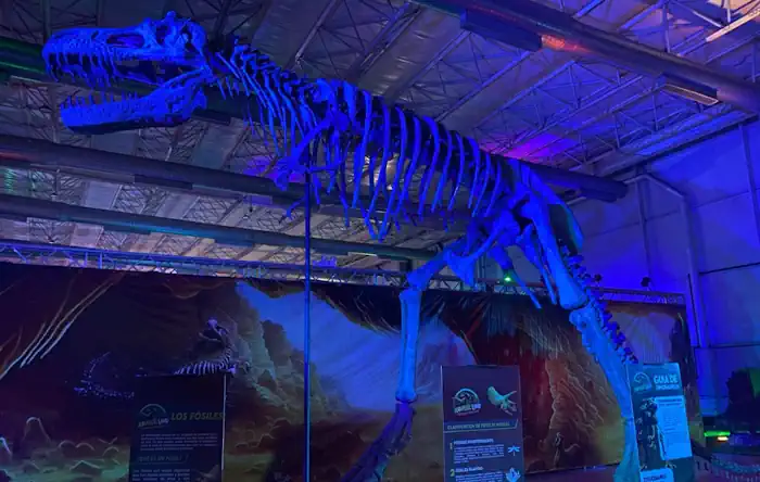 Jurassic Land Caracas