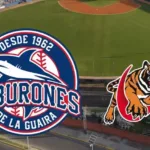 Dónde ver el Tiburones de La Guaira Vs. Tigres de Aragua HOY