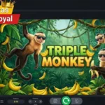 ᐉ TRIPLE MONKEY: El minijuego del momento en Apuestas Royal